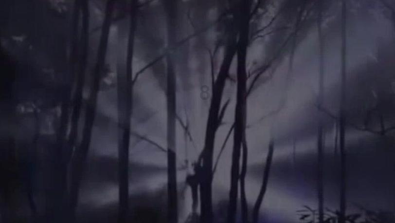 异次元战姬
