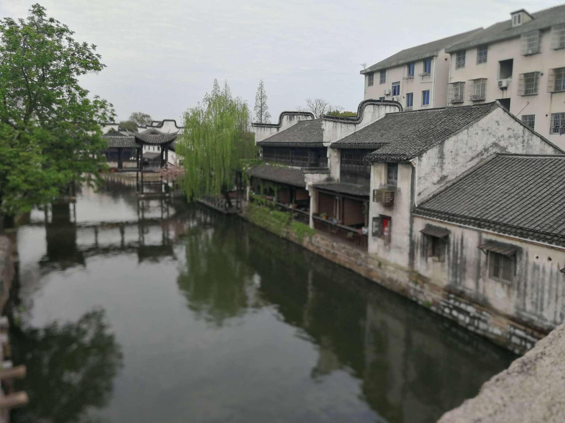 破碎的动物图形